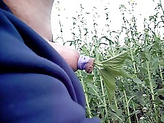 Intensify Concerning MY Cock
